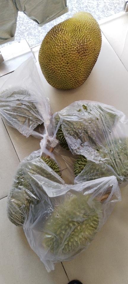 Sầu riêng 6 hữu 1kg-duoc-ban-tai-Nhà Tôi (Thiên Thần shop)