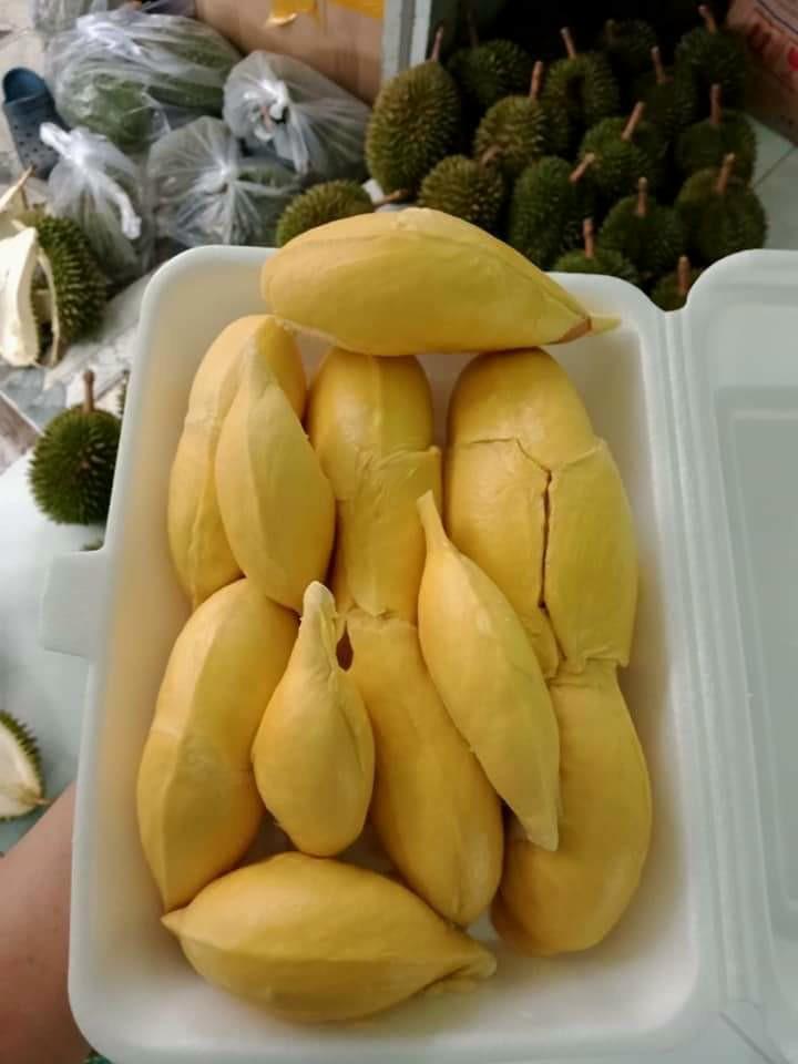 Sầu riêng 6 hữu 1kg-duoc-ban-tai-Nhà Tôi (Thiên Thần shop)