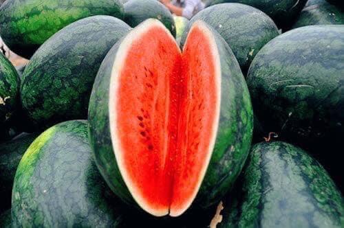  Ép dưa hấu L-duoc-ban-tai-Tiệm Nhà Táo