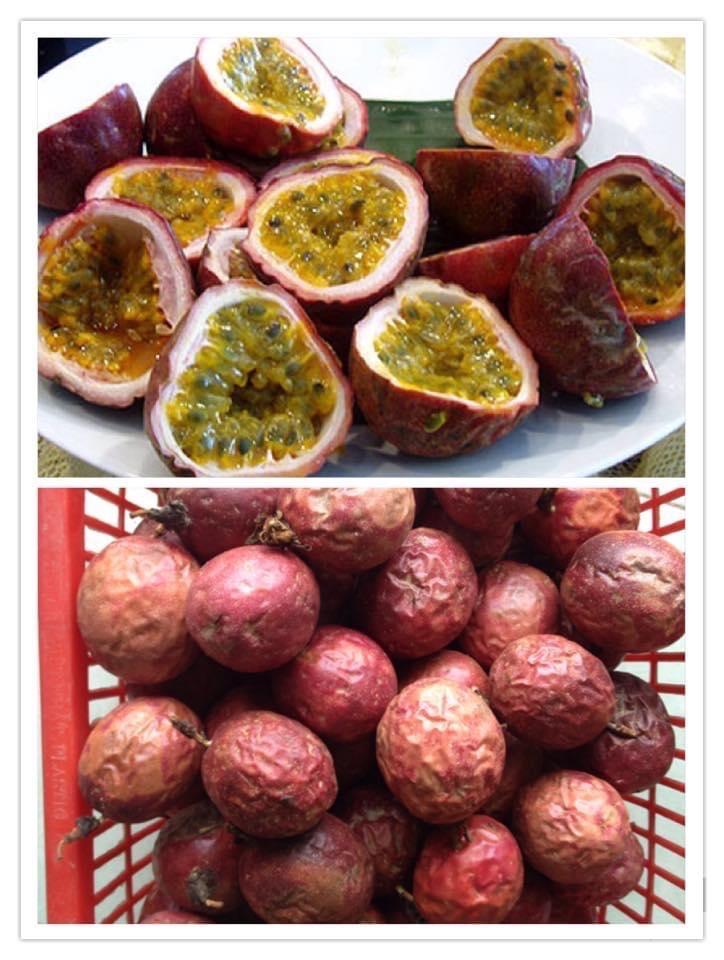 Ép Chanh Leo L-duoc-ban-tai-Tiệm Nhà Táo