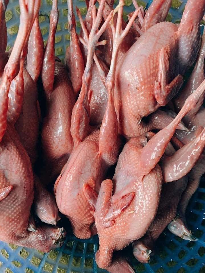 Chim cút-duoc-ban-tai-Organicstore