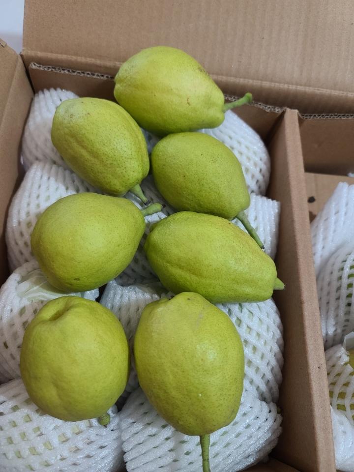 Lê Thiên đường-duoc-ban-tai-Organicstore