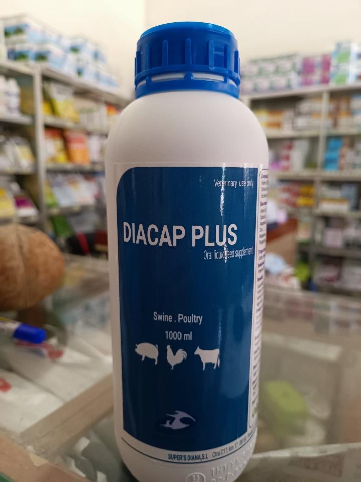 UT - Diacap plus-duoc-ban-tai-Thú y Thủy Vân - CH Nguyễn Đáng