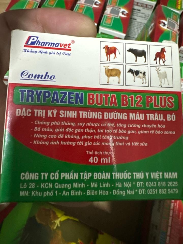 TRYPAZEN BUTA B12 PLUS 40ml-duoc-ban-tai-Nguyễn Hàm Kỷ