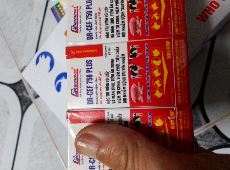 DR-CEF 750 20ml-duoc-ban-tai-Nguyễn Hàm Kỷ