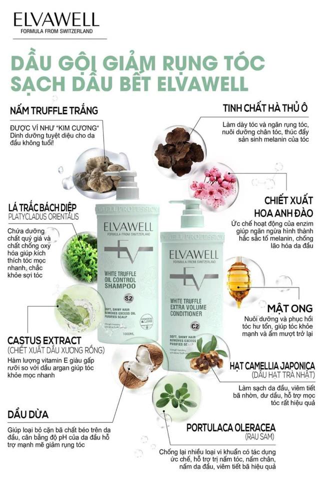 Dầu gội giảm rụng tóc sạch bết Elvawell-duoc-ban-tai-Cao Hương Beauty House