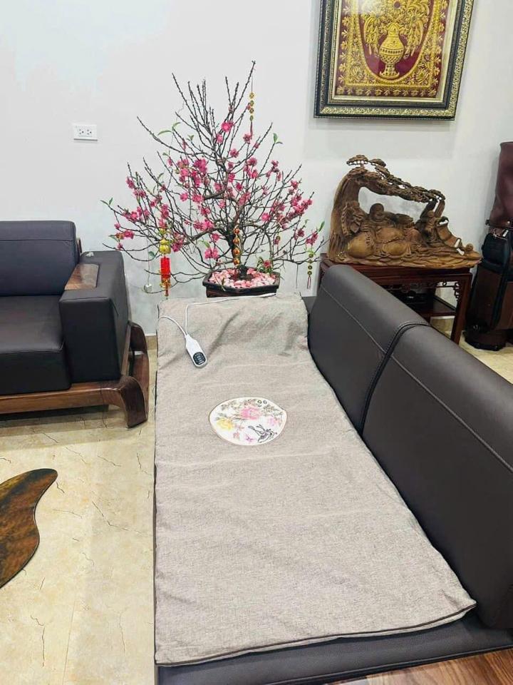 Thảm ngải cứu L&T đông y bảng điều khiển chữ tiếng Việt-duoc-ban-tai-K-DAN HOUSE