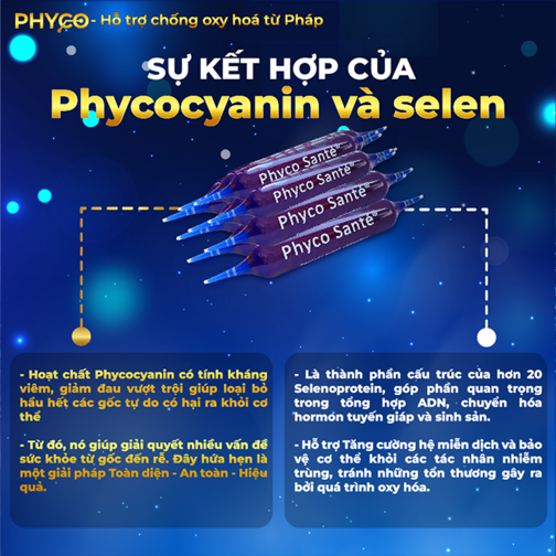 Thực phẩm bổ sung KIT Mini  PHYCO SANTÉ-duoc-ban-tai-TAP HOA SO