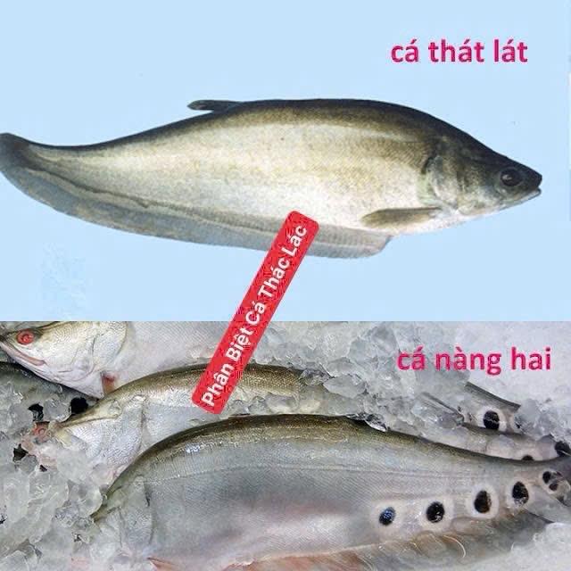 Chả Cá Thác Lác Nguyên Chất 100%-duoc-ban-tai-PYLUCKFOODS - CỬA HÀNG THỰC PHẨM MAY MẮN VÀ HẠNH PHÚC
