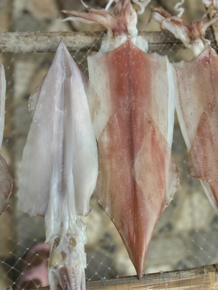 Mực 2N Size 6 con-duoc-ban-tai-PYLUCKFOODS - CỬA HÀNG THỰC PHẨM MAY MẮN VÀ HẠNH PHÚC