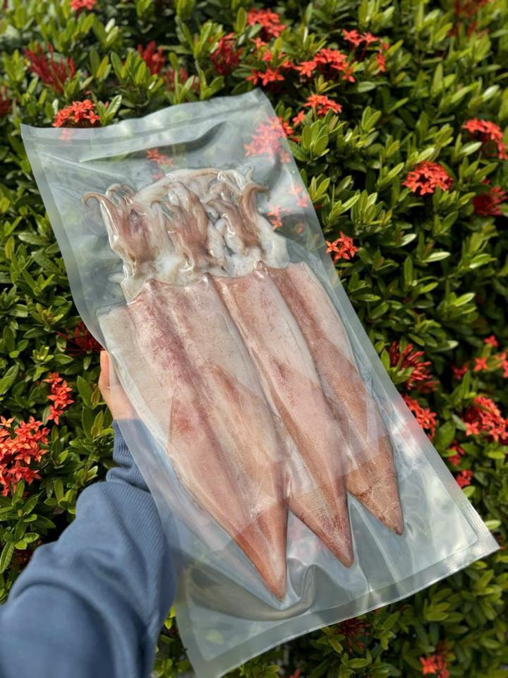 Mực 2N Size 6 con-duoc-ban-tai-PYLUCKFOODS - CỬA HÀNG THỰC PHẨM MAY MẮN VÀ HẠNH PHÚC
