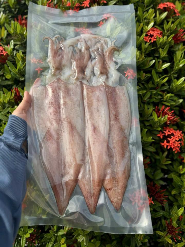Mực 2N Size 6 con-duoc-ban-tai-PYLUCKFOODS - CỬA HÀNG THỰC PHẨM MAY MẮN VÀ HẠNH PHÚC