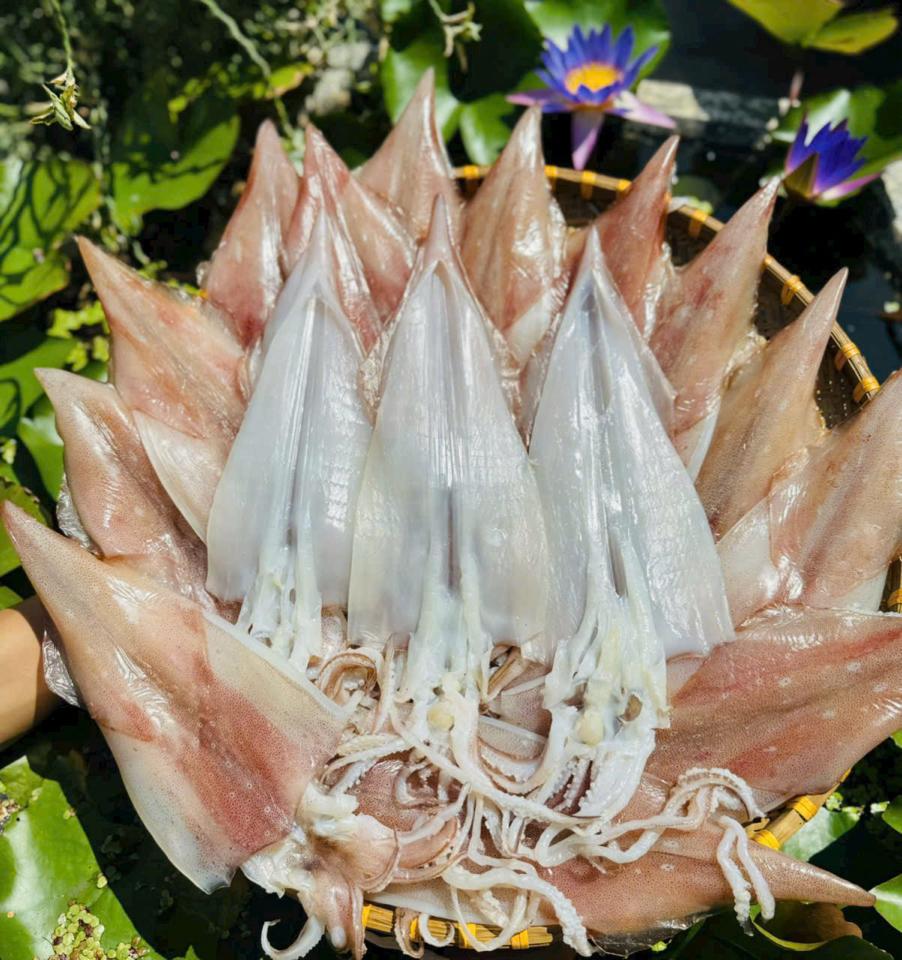 Mực 2N Size 8 con/ kí-duoc-ban-tai-PYLUCKFOODS - CỬA HÀNG THỰC PHẨM MAY MẮN VÀ HẠNH PHÚC