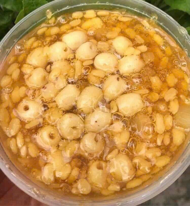 Chè Bưởi Siêu Cùi Ít Ngọt Đặc Biệt (Hạt Sen/ Khoai Môn)  Sao chép-duoc-ban-tai-PYLUCKFOODS - CỬA HÀNG THỰC PHẨM MAY MẮN VÀ HẠNH PHÚC