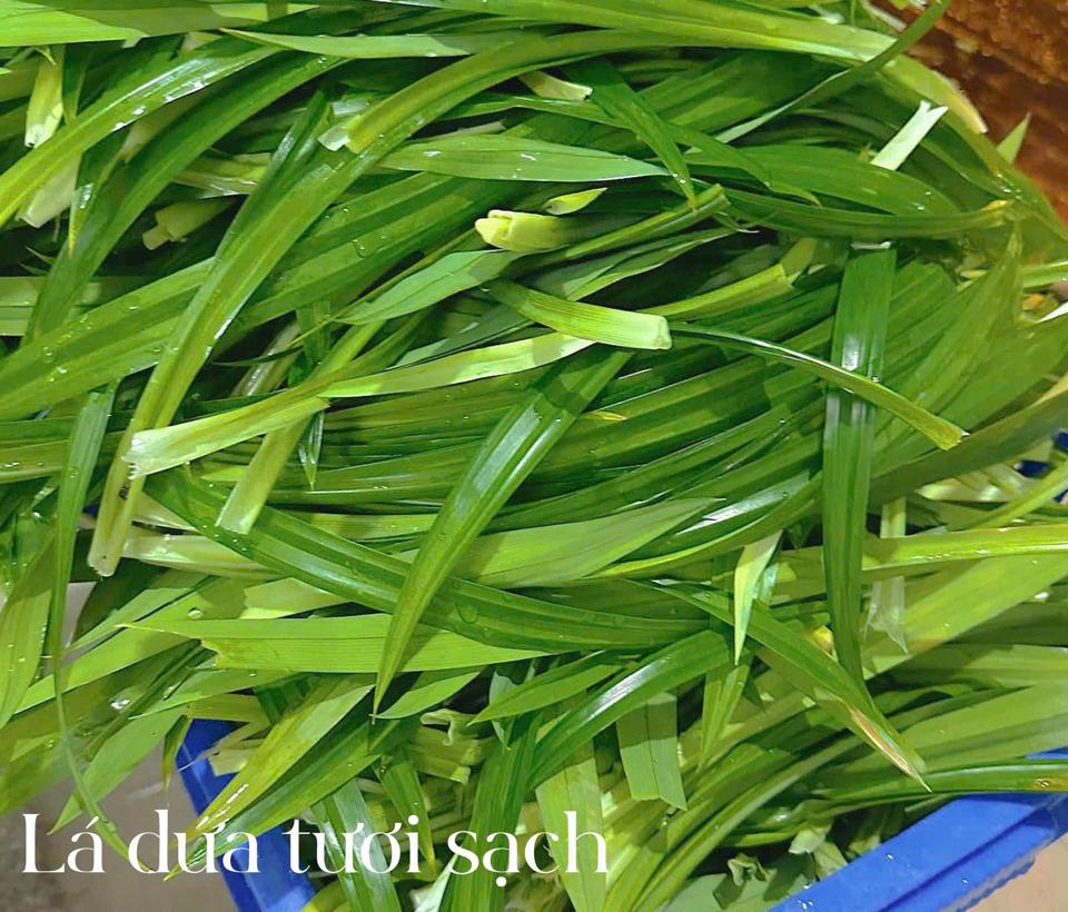 Rau Câu Hộp 500gr net ( Đủ Vị ) -duoc-ban-tai-PYLUCKFOODS - CỬA HÀNG THỰC PHẨM MAY MẮN VÀ HẠNH PHÚC