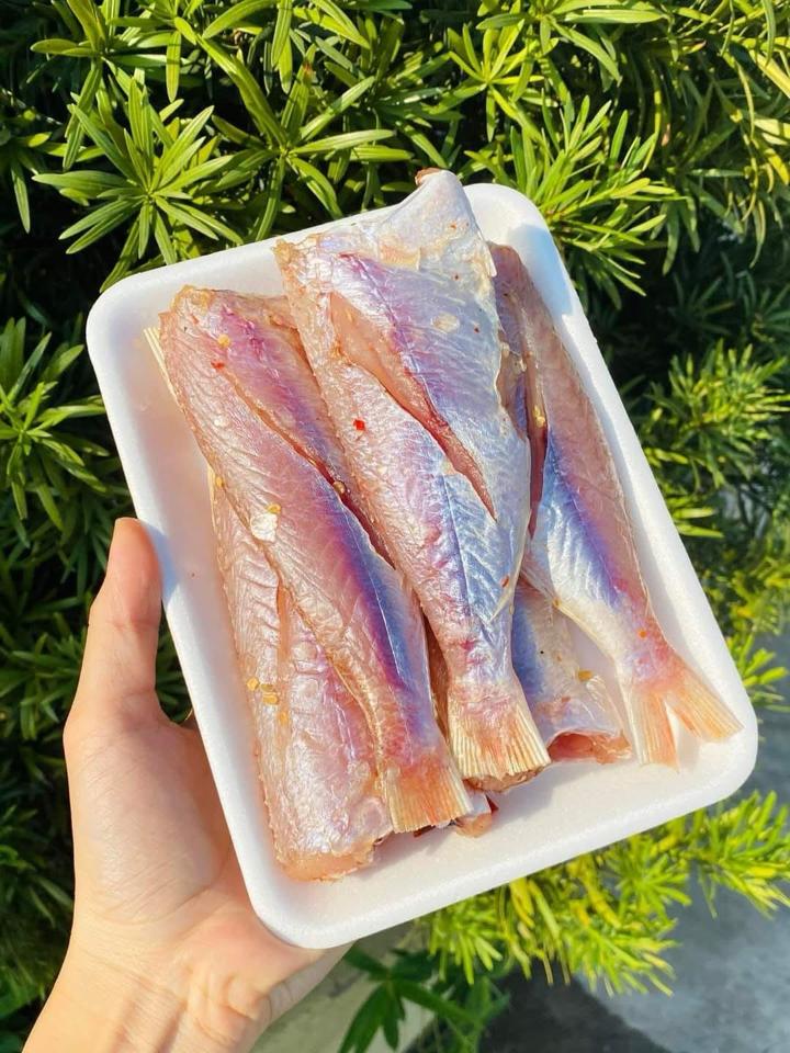 Cá Đổng 1N Tẩm-duoc-ban-tai-PYLUCKFOODS - CỬA HÀNG THỰC PHẨM MAY MẮN VÀ HẠNH PHÚC