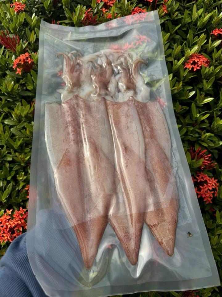 Mực 2N Size 6 con-duoc-ban-tai-PYLUCKFOODS - CỬA HÀNG THỰC PHẨM MAY MẮN VÀ HẠNH PHÚC