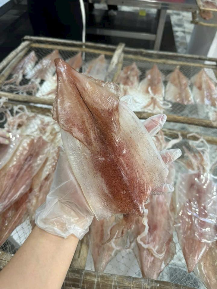 Mực 2N Size 8 con/ kí-duoc-ban-tai-PYLUCKFOODS - CỬA HÀNG THỰC PHẨM MAY MẮN VÀ HẠNH PHÚC