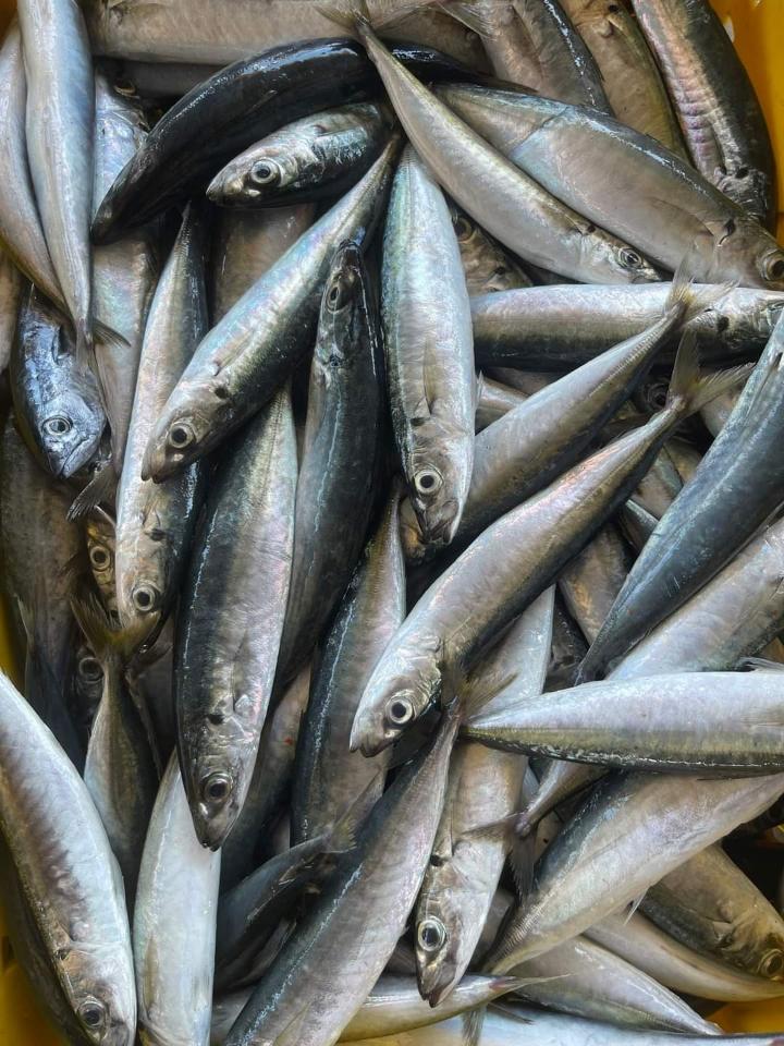 CÁ NỤC KHO MĂNG-duoc-ban-tai-Nhà của Mẹ Nghé Ngọ