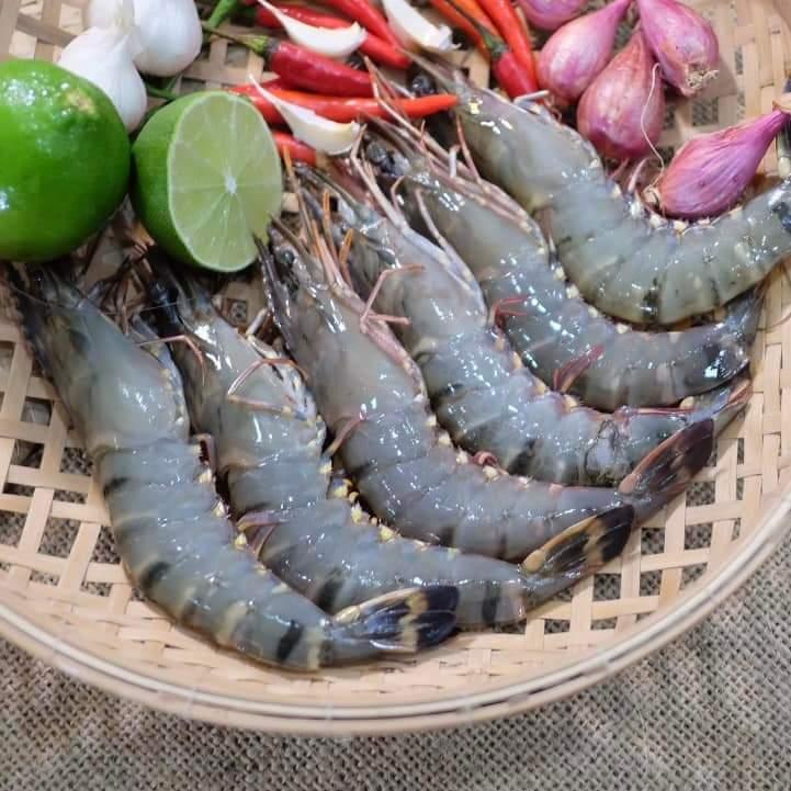 TÔM SÚ SINH THÁI CÀ MAU-duoc-ban-tai-Nhà của Mẹ Nghé Ngọ