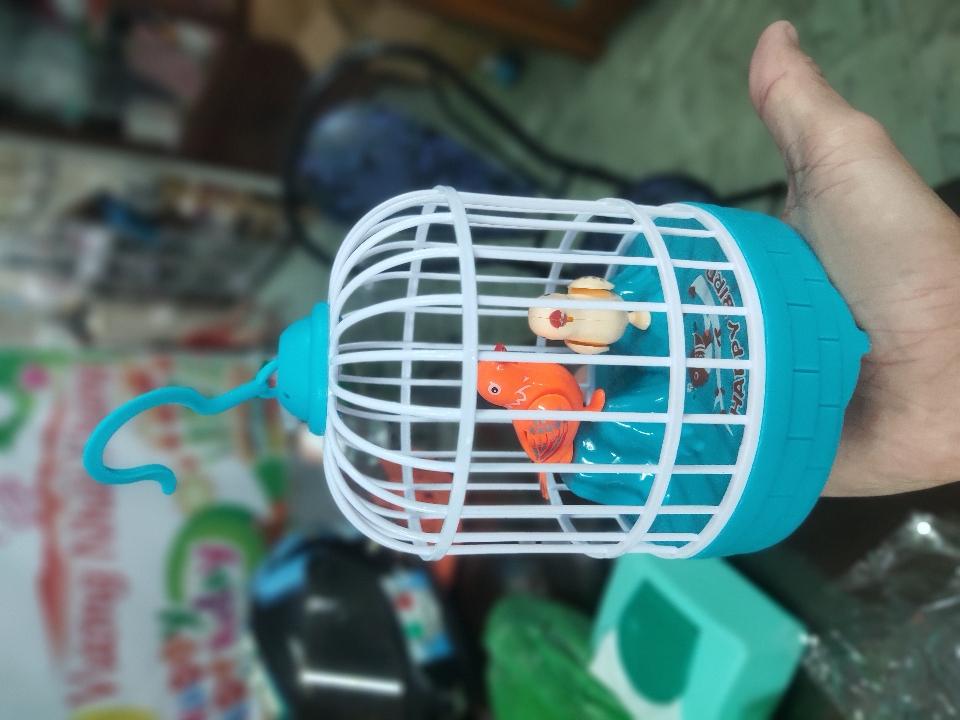 Lồng chim lẻ-duoc-ban-tai-NPP Quang Duy Toys