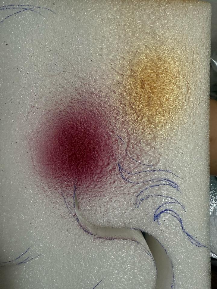 Sơn xịt hoa Color-duoc-ban-tai-Phạm Thuỳ Linh