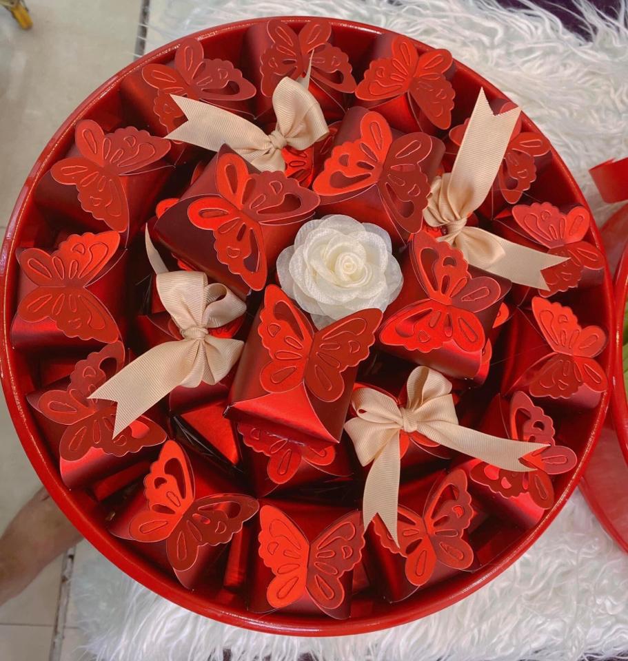 Vỏ giấy cánh bướm đỏ-duoc-ban-tai-Phạm Thuỳ Linh