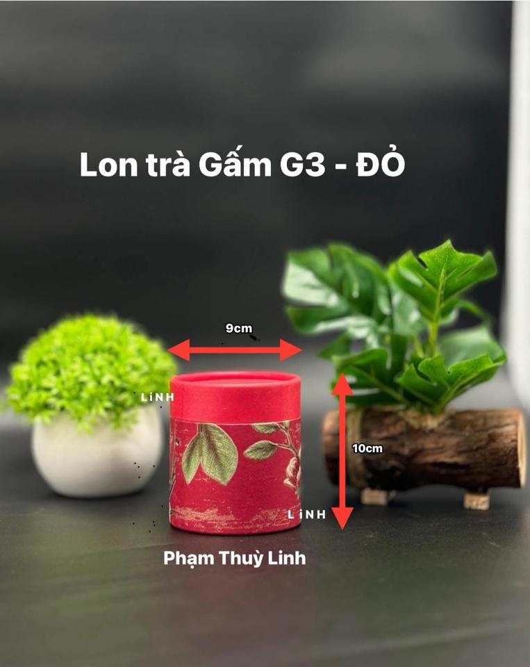 Lon Gấm G3 (cao 10cm, ngang 9cm)-duoc-ban-tai-Phạm Thuỳ Linh