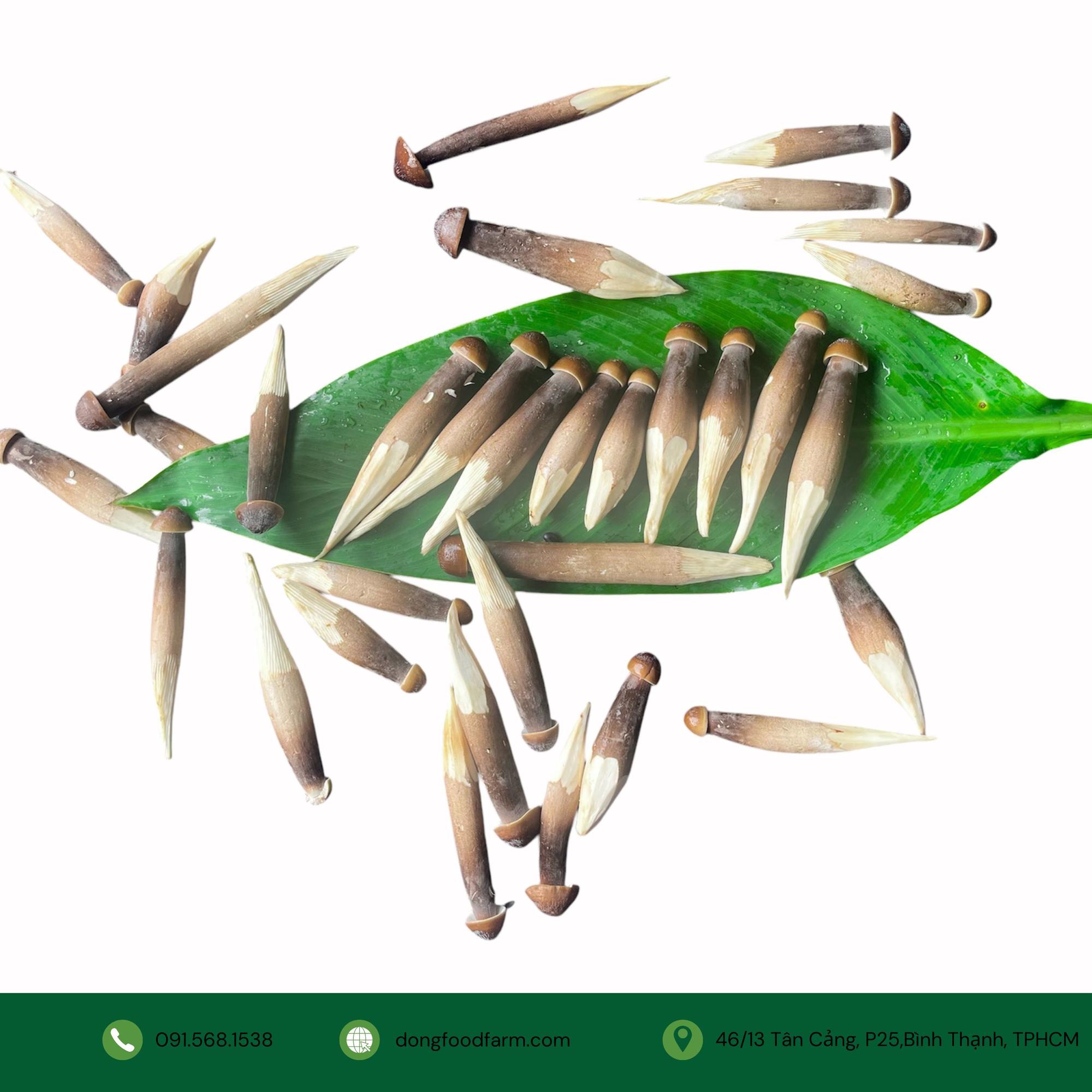 Nấm mối đen - Black Termitomyces Heim-duoc-ban-tai-Đông Food Farm