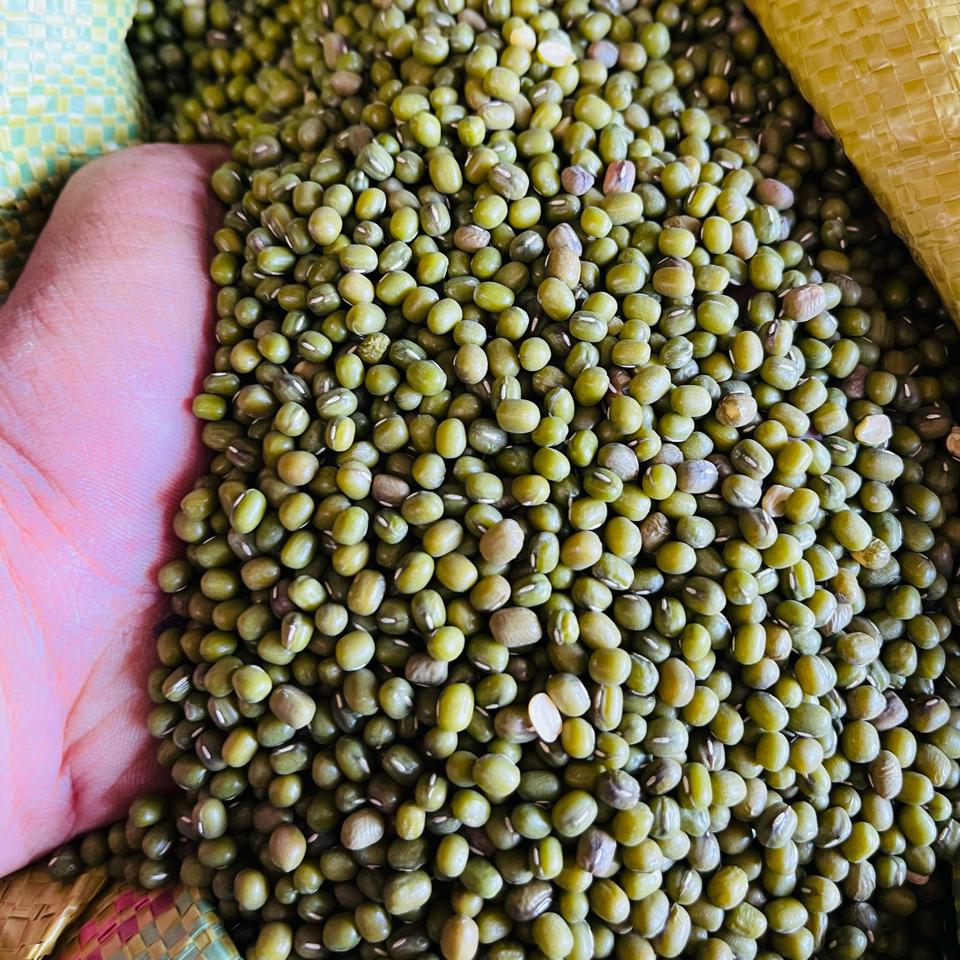 Đậu xanh nguyên hạt làm sạch - mung bean-duoc-ban-tai-Đông Food Farm