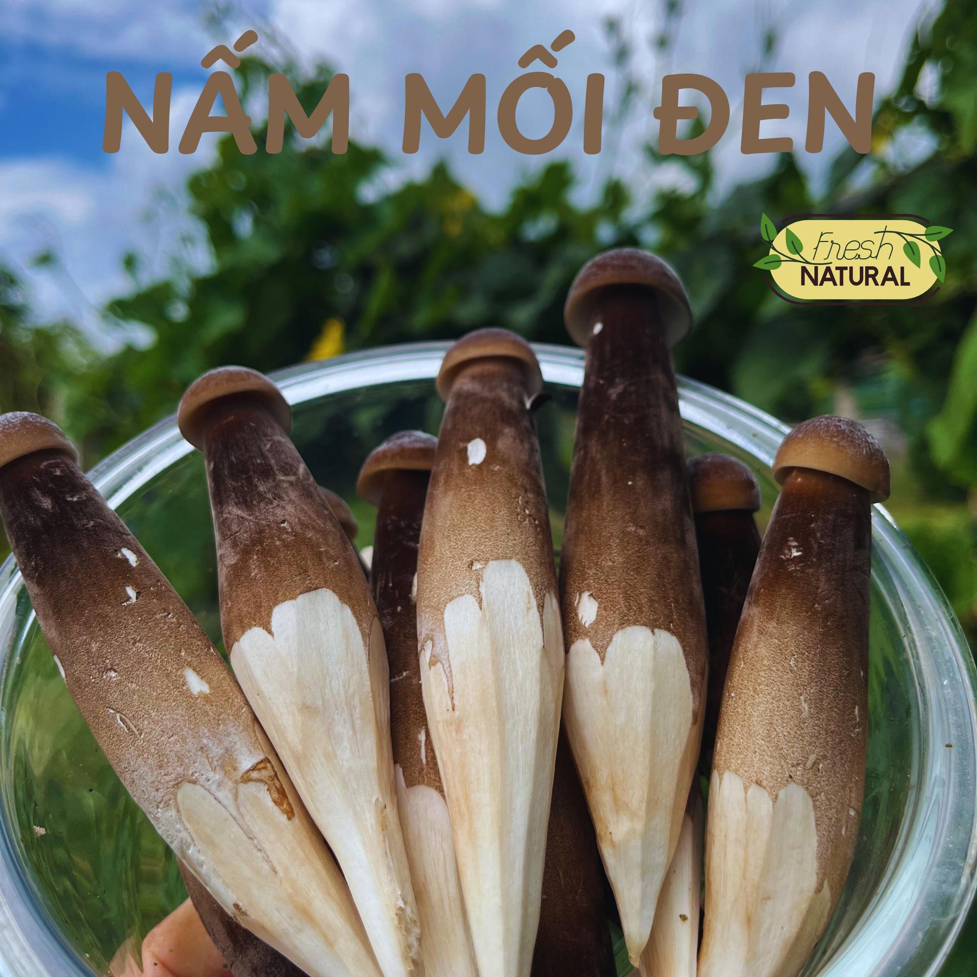 Nấm mối đen - Black Termitomyces Heim-duoc-ban-tai-Đông Food Farm