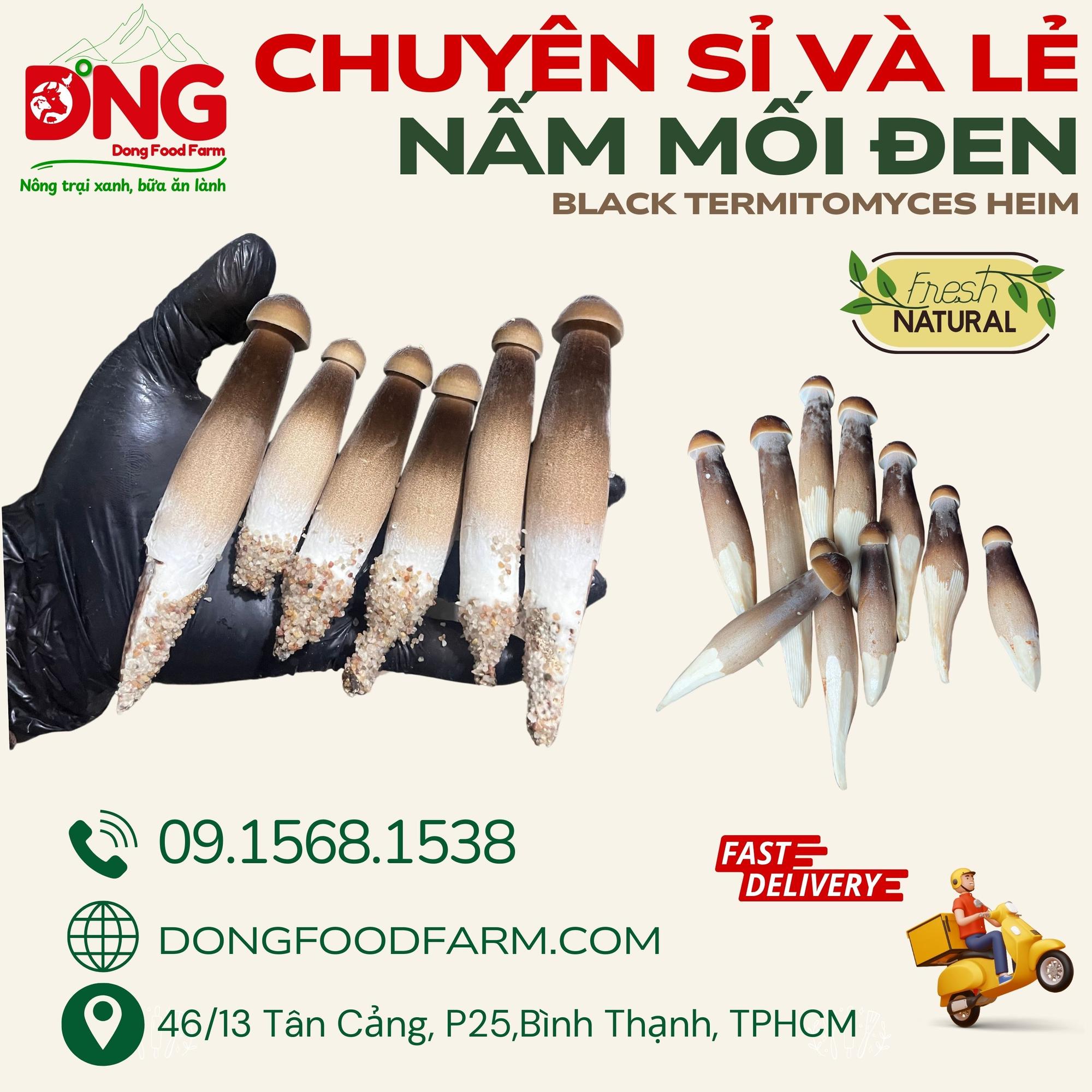 Nấm mối đen - Black Termitomyces Heim-duoc-ban-tai-Đông Food Farm