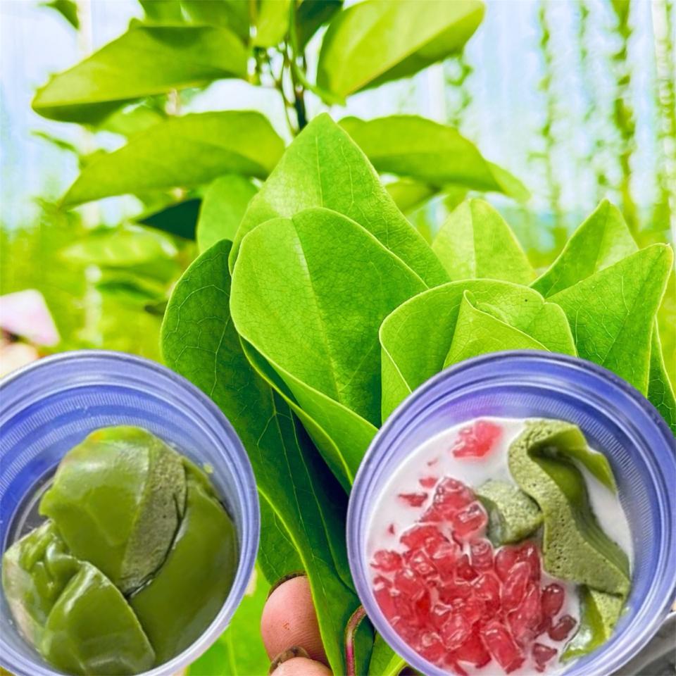 Lá sương sâm tươi nhà trồng -duoc-ban-tai-Đông Food Farm