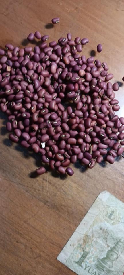 Đậu đỏ nguyên hạt chuẩn quê - Azuki bean-duoc-ban-tai-Đông Food Farm