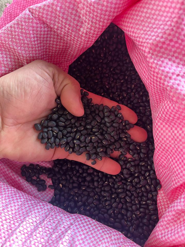 Đậu đen xanh lòng hạt nhỏ 1kg-duoc-ban-tai-Đông Food Farm