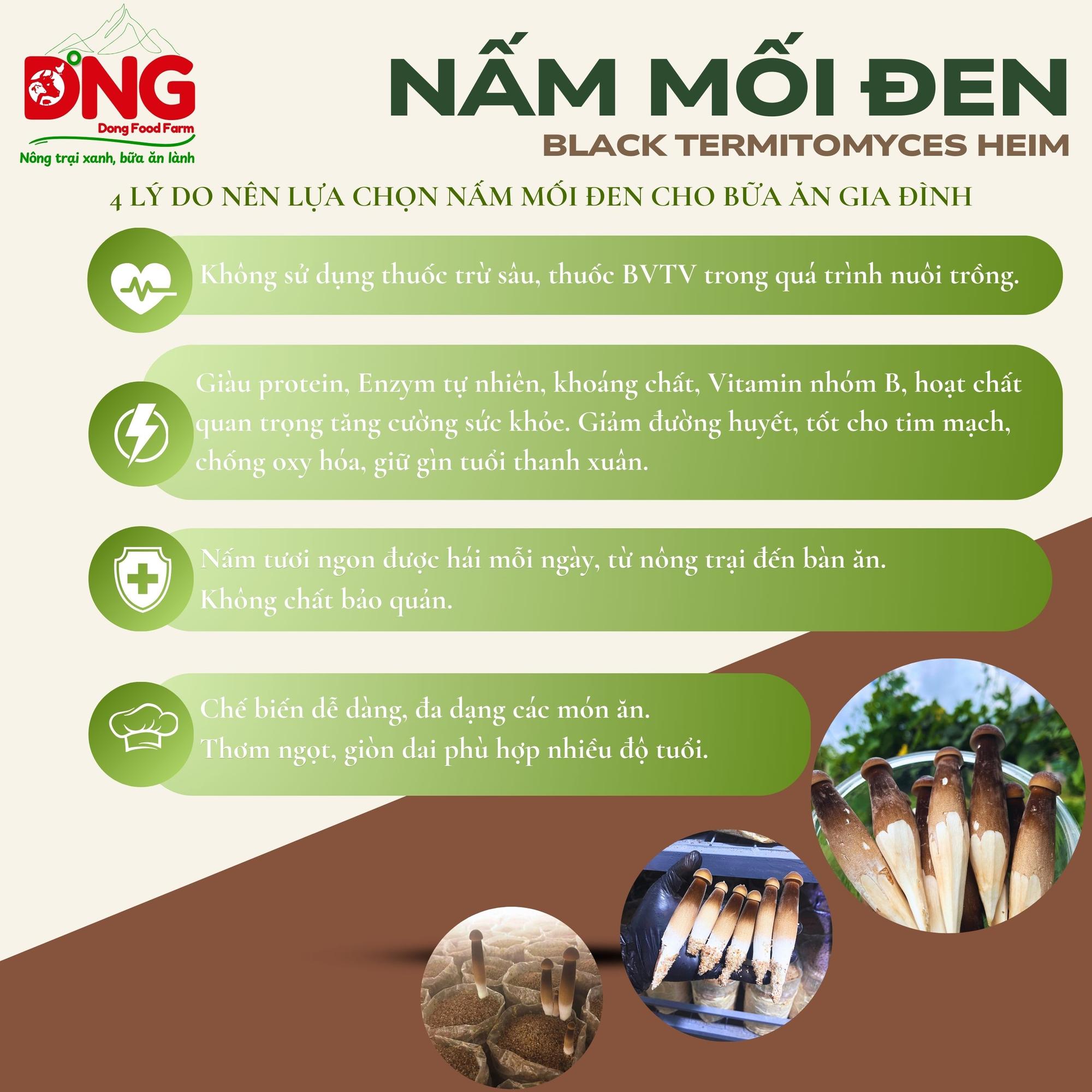 Nấm mối đen - Black Termitomyces Heim-duoc-ban-tai-Đông Food Farm