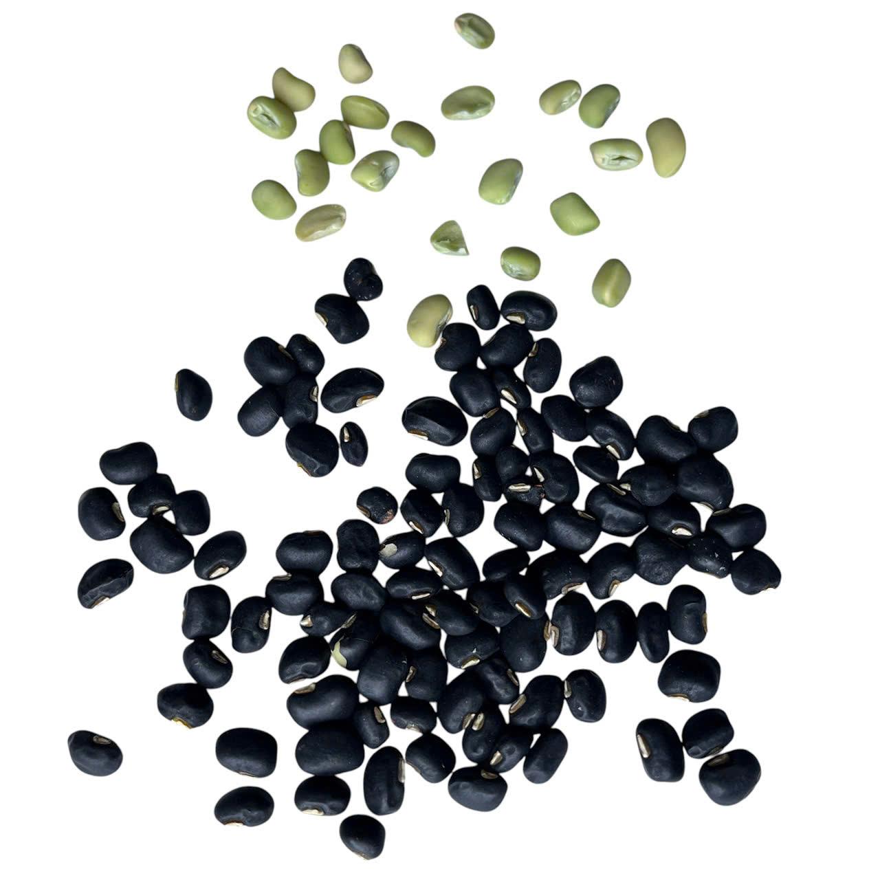Đậu đen xanh lòng tự nhiên sản xuất thủ công 500g - Black Beans with Green Kernels-duoc-ban-tai-Đông Food Farm