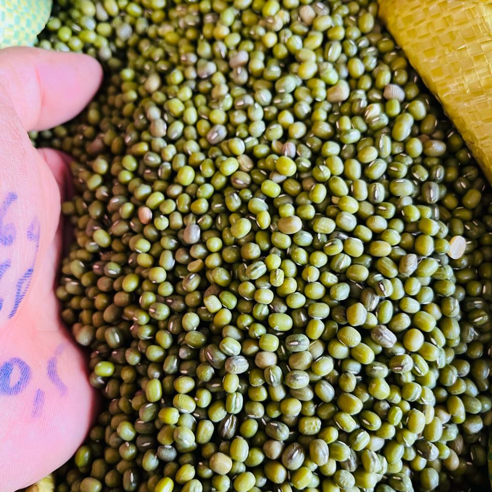 Đậu xanh nguyên hạt làm sạch - mung bean-duoc-ban-tai-Đông Food Farm