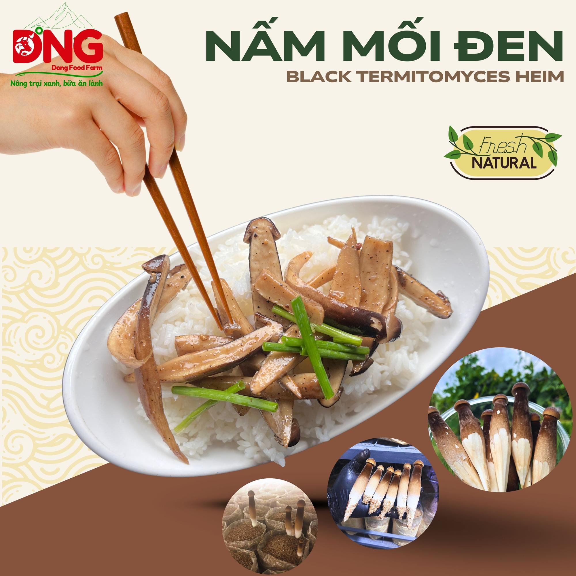 Nấm mối đen - Black Termitomyces Heim-duoc-ban-tai-Đông Food Farm