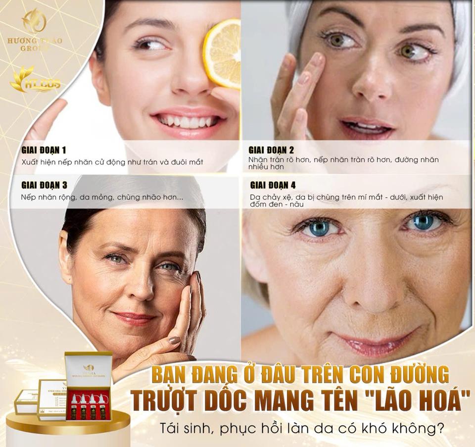 𝐃𝐍𝐀 𝐂𝐚́ 𝐇𝐨̂̀𝐢 𝐒𝐭𝐞𝐦 𝐂𝐞𝐥𝐥 𝐄𝐬𝐬𝐞𝐧𝐜𝐞 – 𝐓𝐢𝐧𝐡 𝐜𝐡𝐚̂́𝐭 𝐩𝐡𝐮̣𝐜 𝐡𝐨̂̀𝐢 𝐭𝐞̂́ 𝐛𝐚̀𝐨 𝐝𝐚 𝐜𝐡𝐮𝐲𝐞̂𝐧 𝐬𝐚̂𝐮-duoc-ban-tai-Hoa Nguyễn Natural Skin