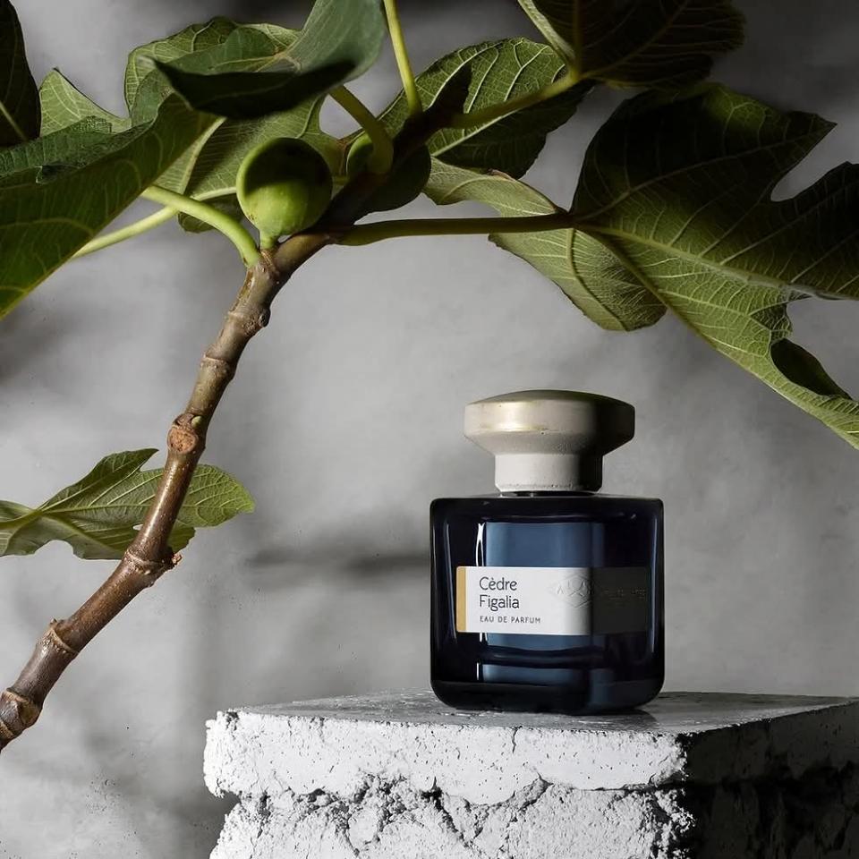 Atelier Materi Cedre Figalia Edp 100ml-duoc-ban-tai-0352842688