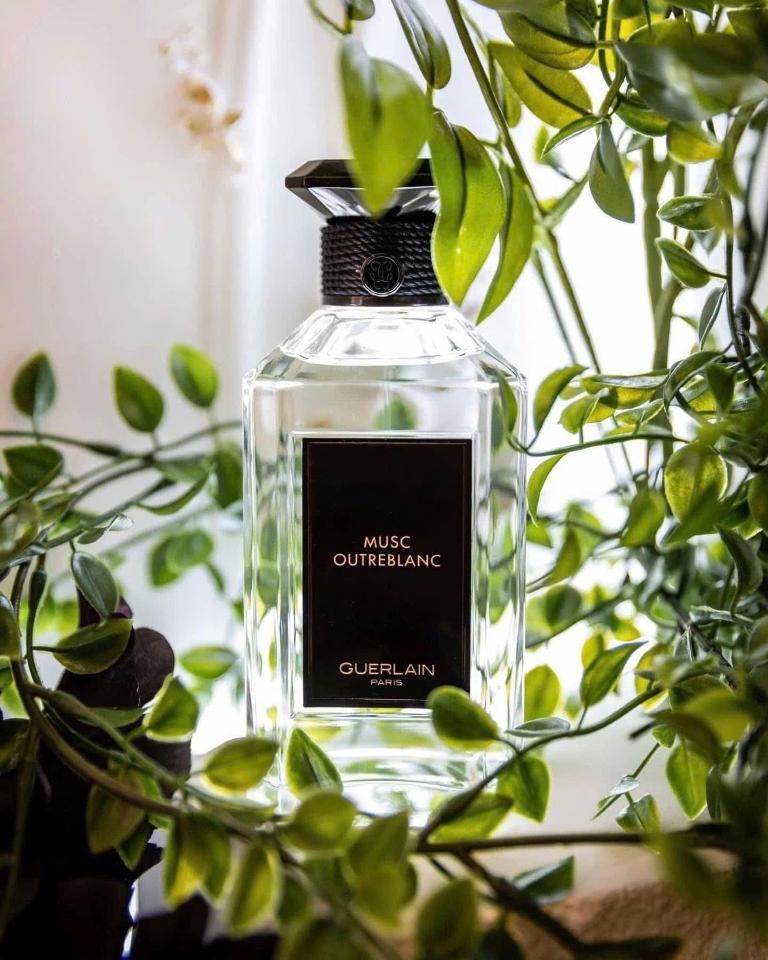 Guerlain Musc Outreblanc Edp 100ml-duoc-ban-tai-0352842688