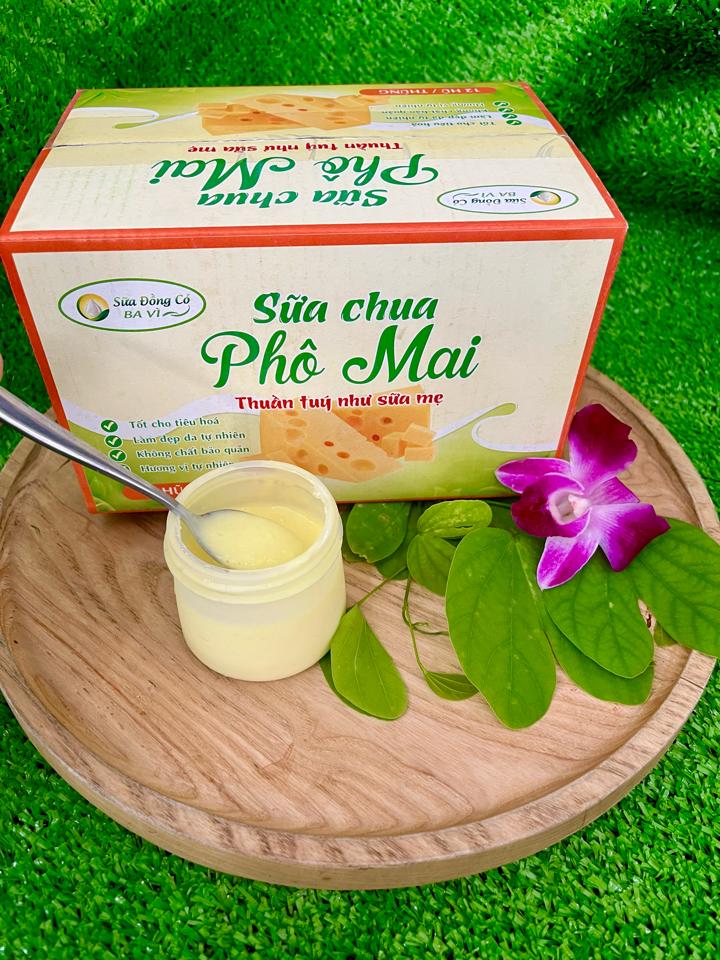 Sữa chua ăn phô mai-duoc-ban-tai-Nhà Hàng 486