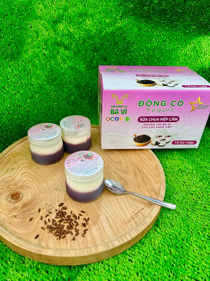 Sữa chua ăn nếp cẩm-duoc-ban-tai-Nhà Hàng 486