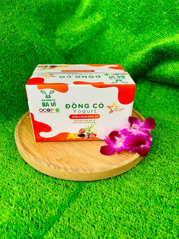 Sữa chua ăn Mix vị-duoc-ban-tai-Nhà Hàng 486