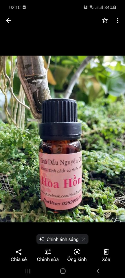 Tinh Dầu Hoa Hồng 10ml-duoc-ban-tai-TINH DẦU THỦ ĐỨC