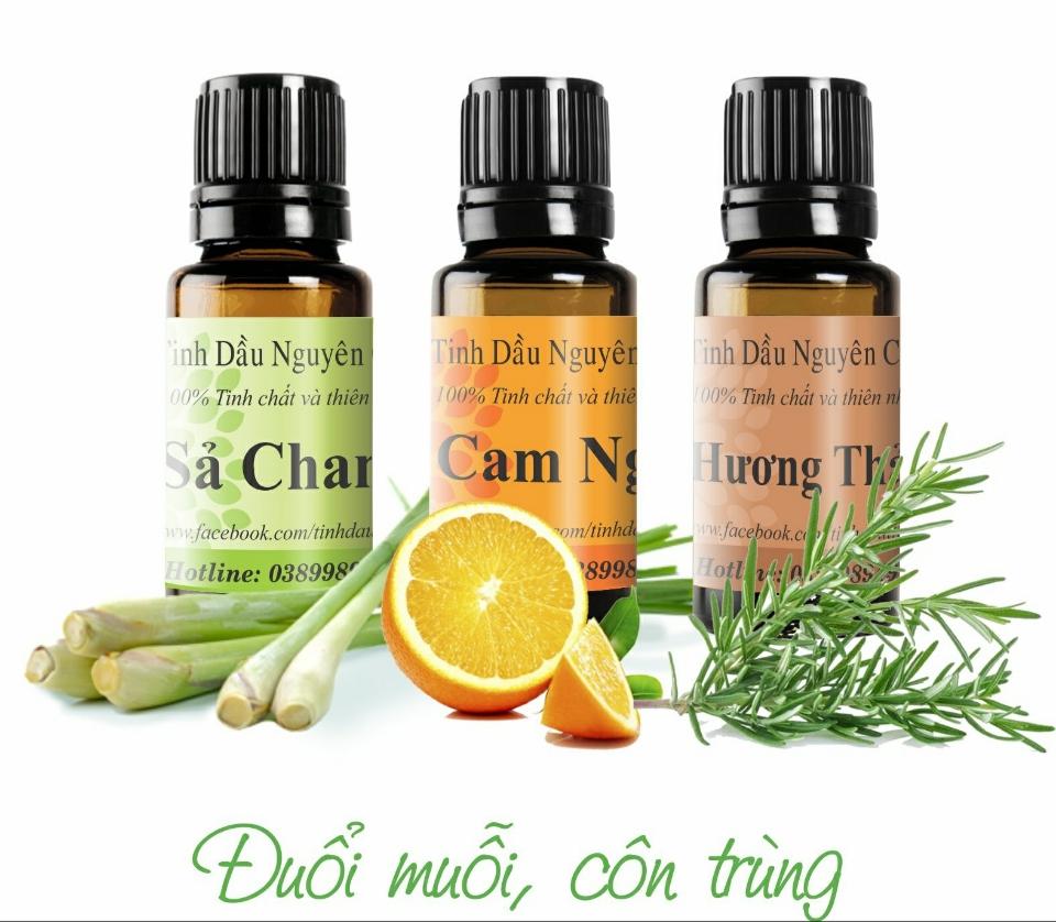 Tinh dầu đuổi muỗi, côn trùng-duoc-ban-tai-TINH DẦU THỦ ĐỨC