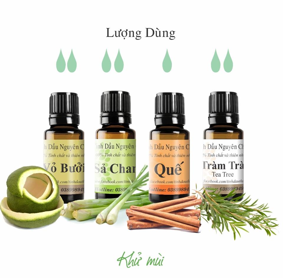 Tinh dầu khử mùi-duoc-ban-tai-TINH DẦU THỦ ĐỨC