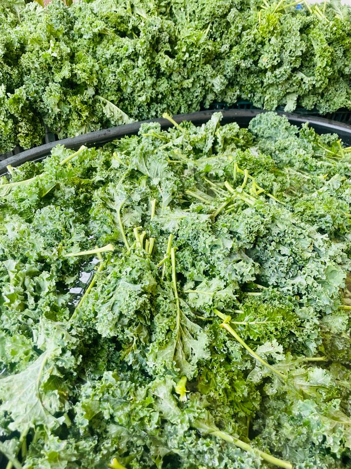 Rau tươi kale 1kg-duoc-ban-tai-Thực Phẩm Yorganik