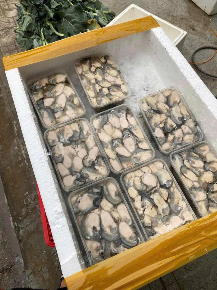 Hàu hộp-duoc-ban-tai-VŨ HỒNG TUYẾT